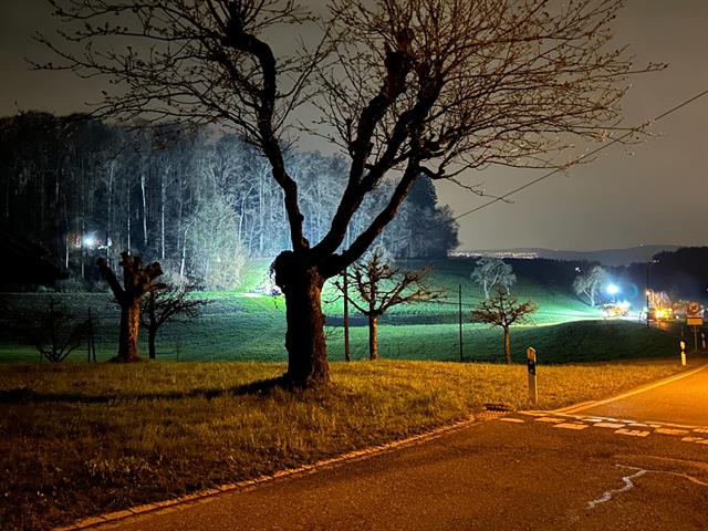 TH 1 - Techn. Hilfeleistung: Luckhausen, Luckhauserstrasse